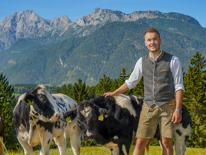 Mitarbeiter steht vor Bergkulisse und streichelt seine Kühe