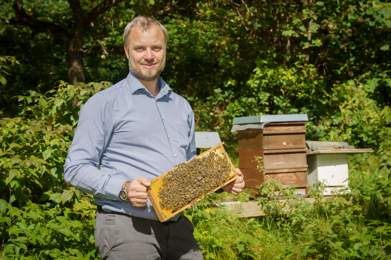 Mitarbeiter steht neben Bienenstock