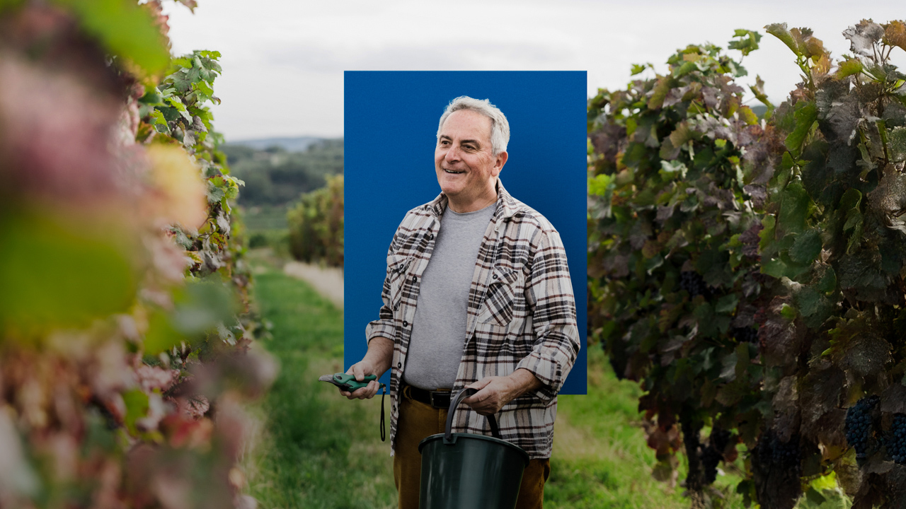 Ein älterer Mann steht inmitten eines Weinfeldes mit Gartenschere in der Hand und lacht.